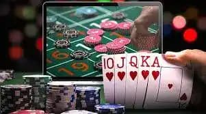 336bet